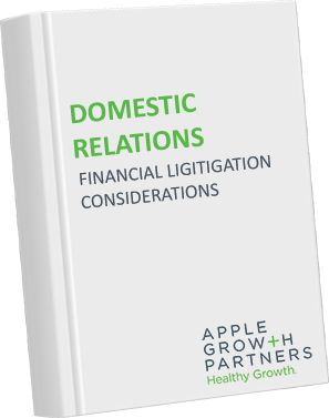 domestic relations litigation financial considerations e-book graphic large