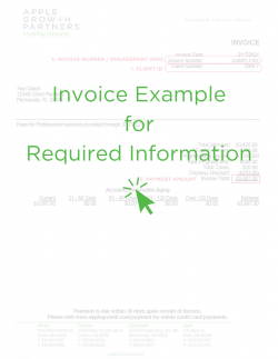 Invoice Example for Payment Login Information